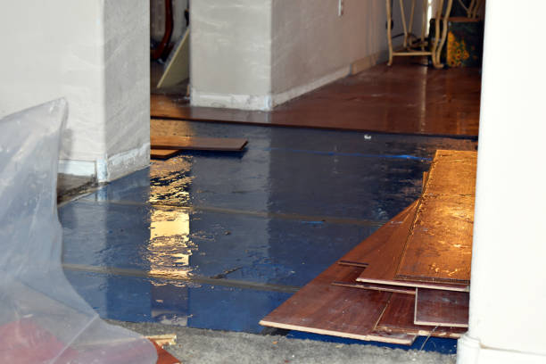 Professional Water Extraction technician working in Alexis, NC
